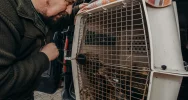 Ranny orzeł przedni ma ponad 50 szwów - zdjęcie 2