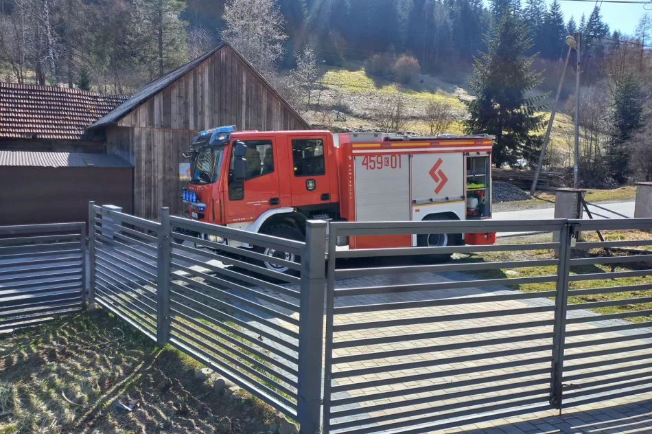 Strażacy na ratunek... sowie - zdjęcie 2