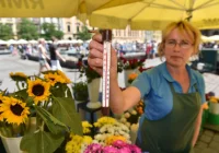 Temperatury są w Polsce o prawie 2 stopnie wyższe niż 70 lat temu - zdjęcie główne