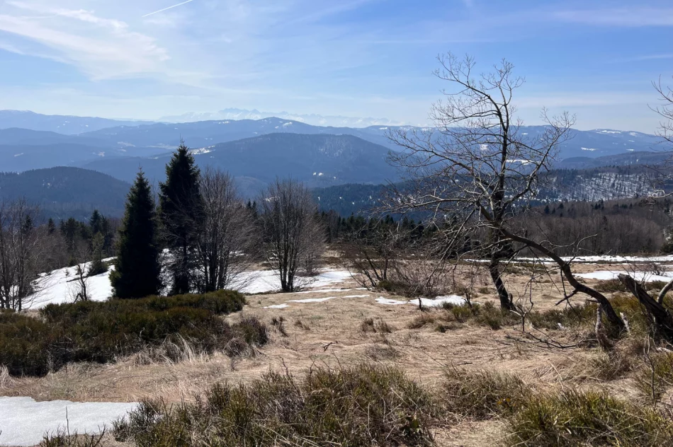 Limanowa: Prognoza pogody i widoki z Mogielicy - zdjęcie 5