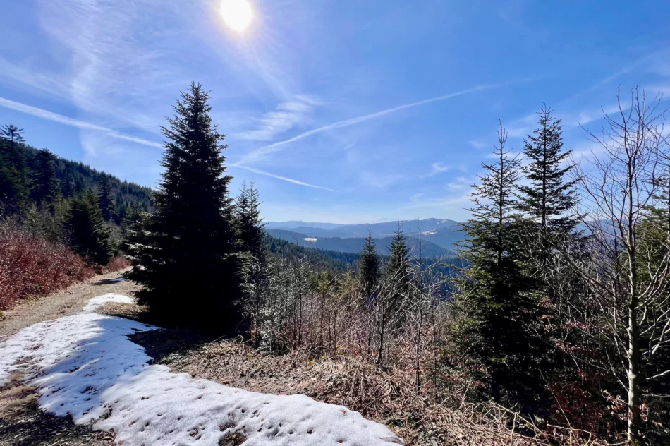 Limanowa: Prognoza pogody i widoki z Mogielicy - zdjęcie 18