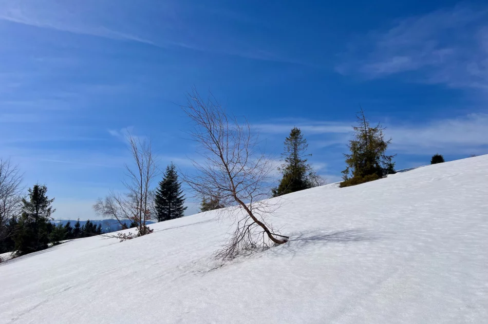 Limanowa: Prognoza pogody i widoki z Mogielicy - zdjęcie 19