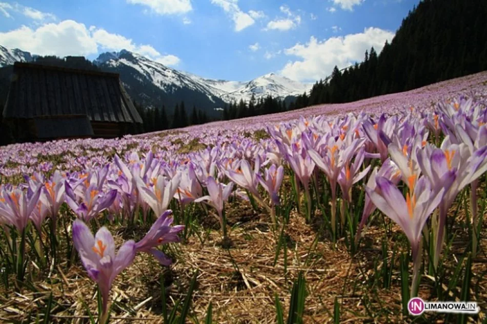 U źródeł Raju w Galerii - zdjęcie 2