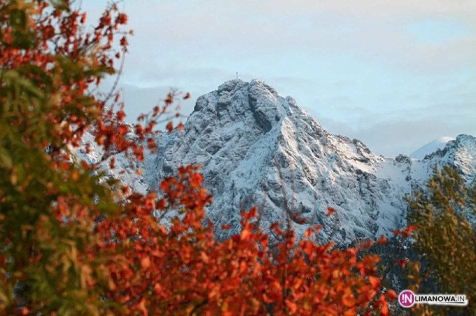 U źródeł Raju w Galerii - zdjęcie 3