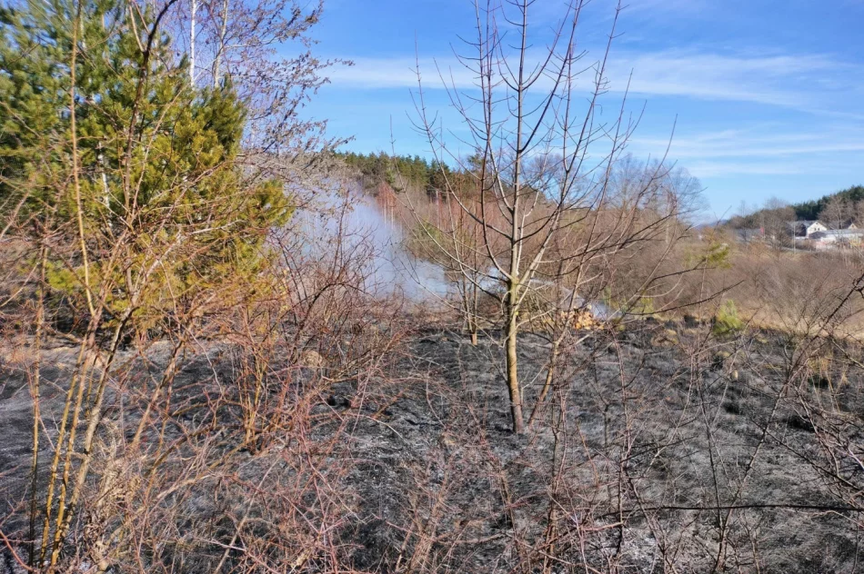 Rozpoczął się sezon na zjawisko kosztowne i śmiertelnie niebezpieczne - zdjęcie 2