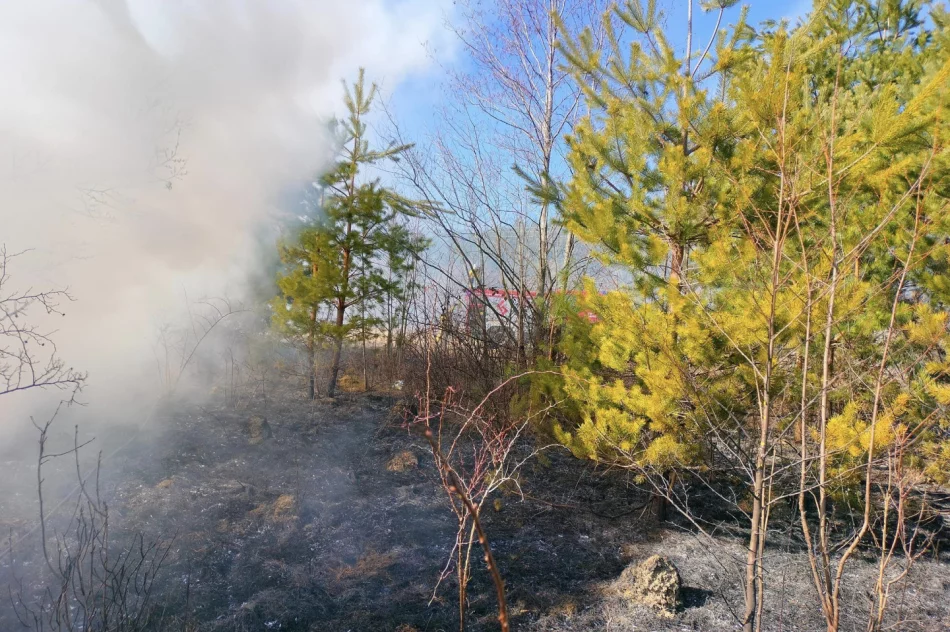 Rozpoczął się sezon na zjawisko kosztowne i śmiertelnie niebezpieczne - zdjęcie 12