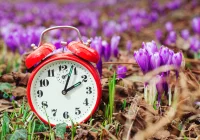 Zmiana czasu a organizm człowieka. Jak łatwiej ją przetrwać? - zdjęcie główne