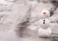 Rzecznik IMGW: weekend wiosenny, ale wraca zima - zdjęcie główne