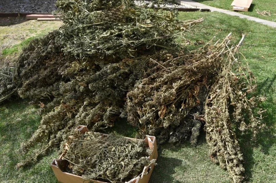 30-latek w areszcie. Miał 22 kilogramy narkotyków - zdjęcie 4