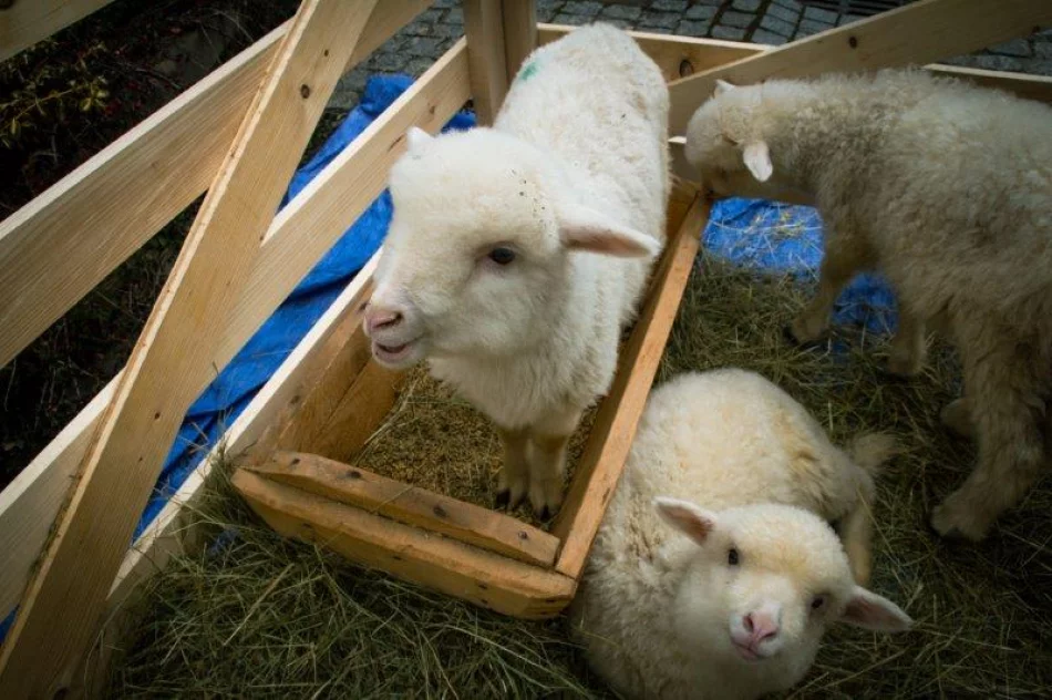 Zagórzański Jarmark Wielkanocny - zdjęcie 6