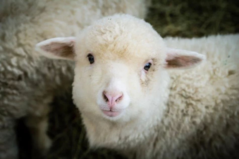 Zagórzański Jarmark Wielkanocny - zdjęcie 7