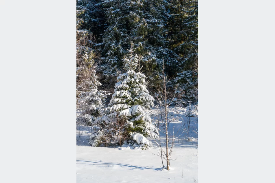 Zima w Beskidzie Wyspowym i Limanowej - 29 marca 2023 roku - zdjęcie 2