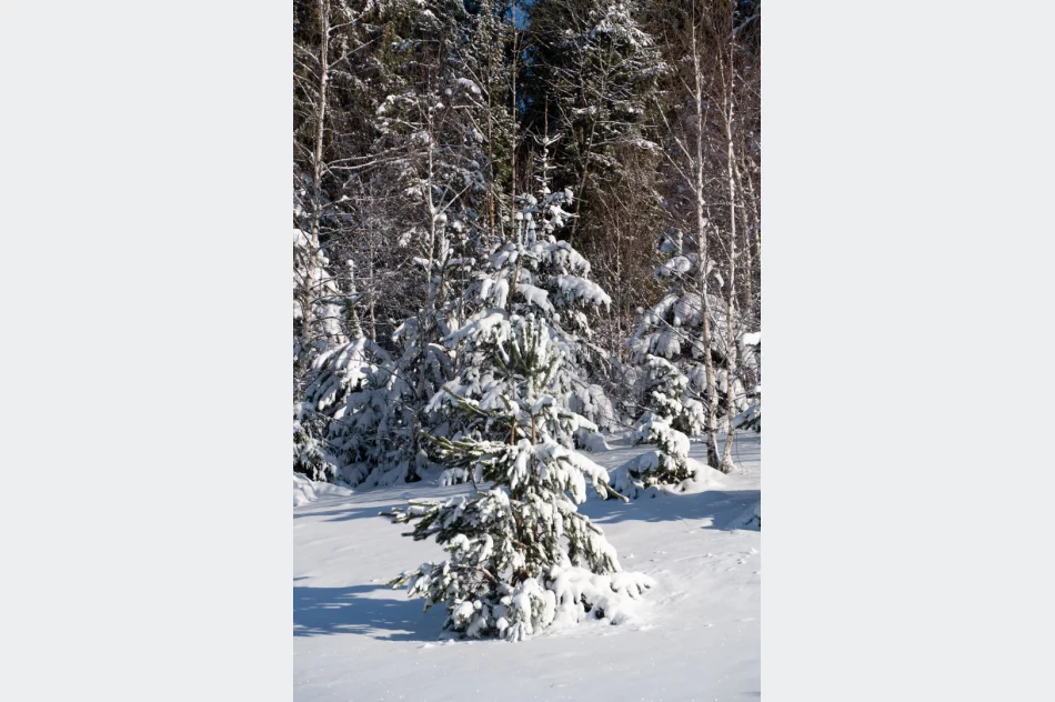 Zima w Beskidzie Wyspowym i Limanowej - 29 marca 2023 roku - zdjęcie 3