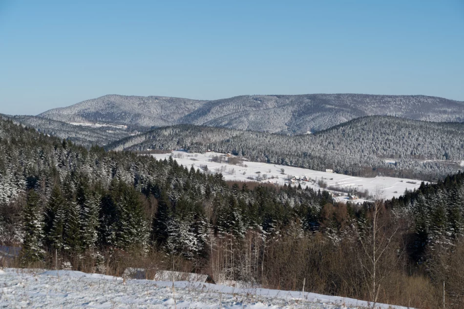 Zima w Beskidzie Wyspowym i Limanowej - 29 marca 2023 roku - zdjęcie 6