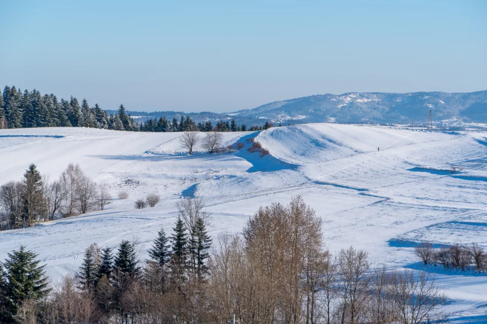Zima w Beskidzie Wyspowym i Limanowej - 29 marca 2023 roku - zdjęcie 8