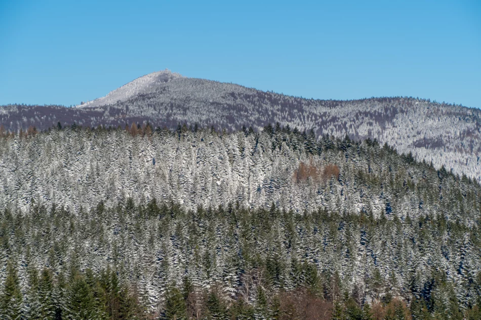 Zima w Beskidzie Wyspowym i Limanowej - 29 marca 2023 roku - zdjęcie 11