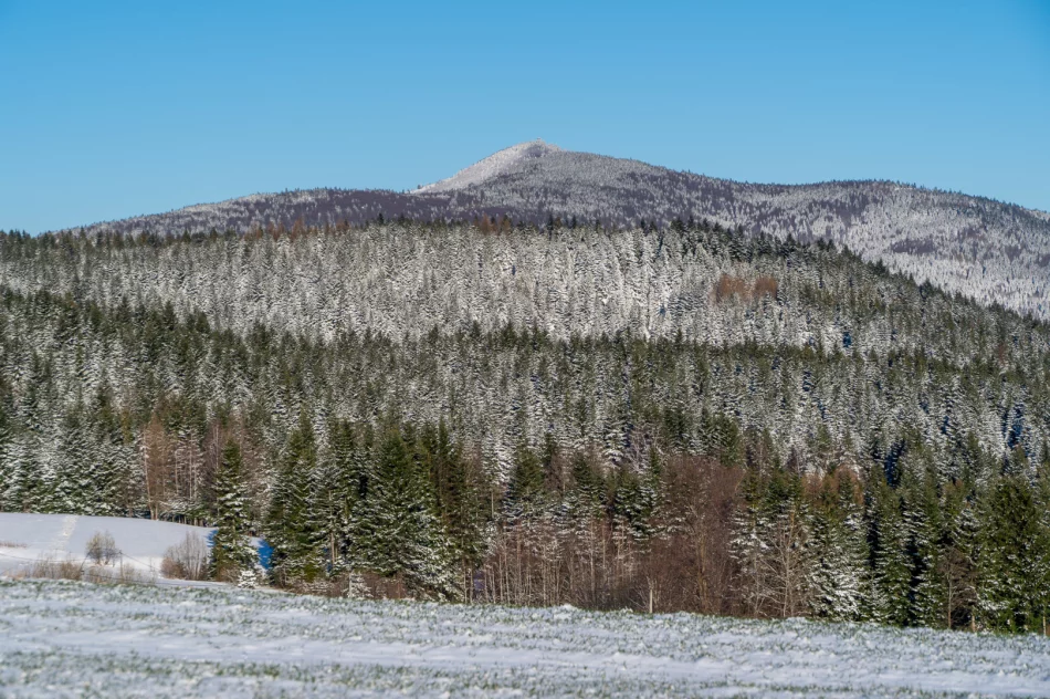 Zima w Beskidzie Wyspowym i Limanowej - 29 marca 2023 roku - zdjęcie 12