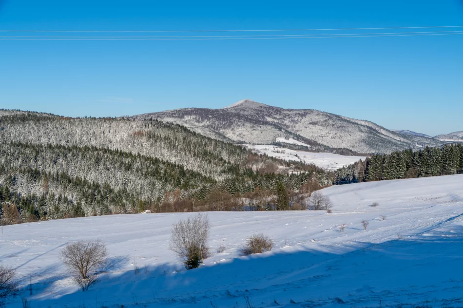 Zima w Beskidzie Wyspowym i Limanowej - 29 marca 2023 roku - zdjęcie 13