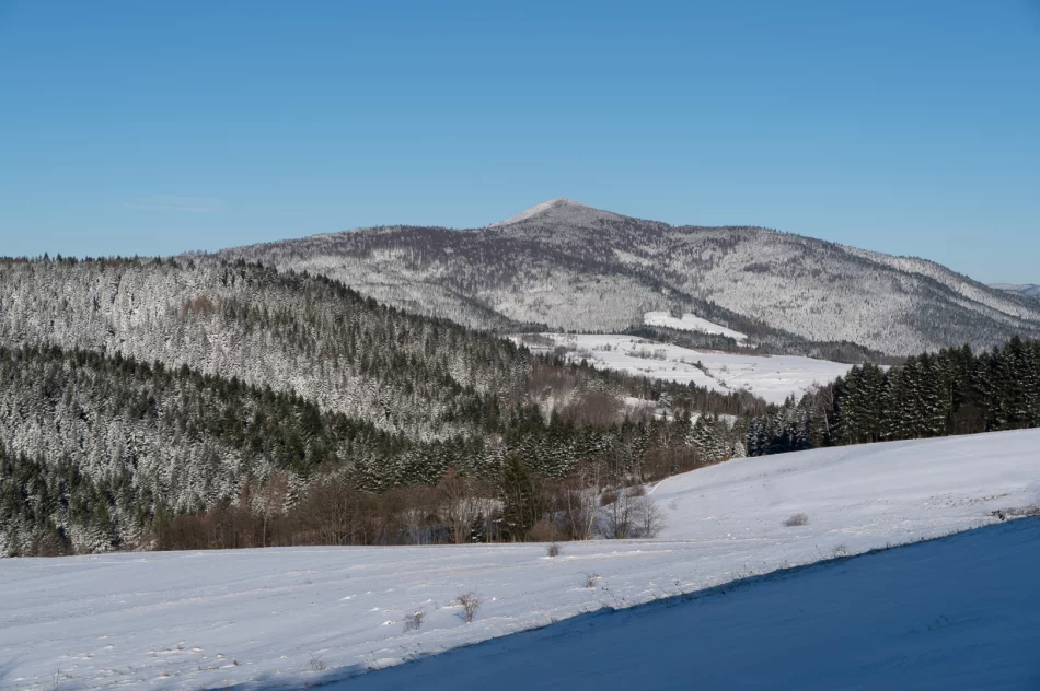 Zima w Beskidzie Wyspowym i Limanowej - 29 marca 2023 roku - zdjęcie 14