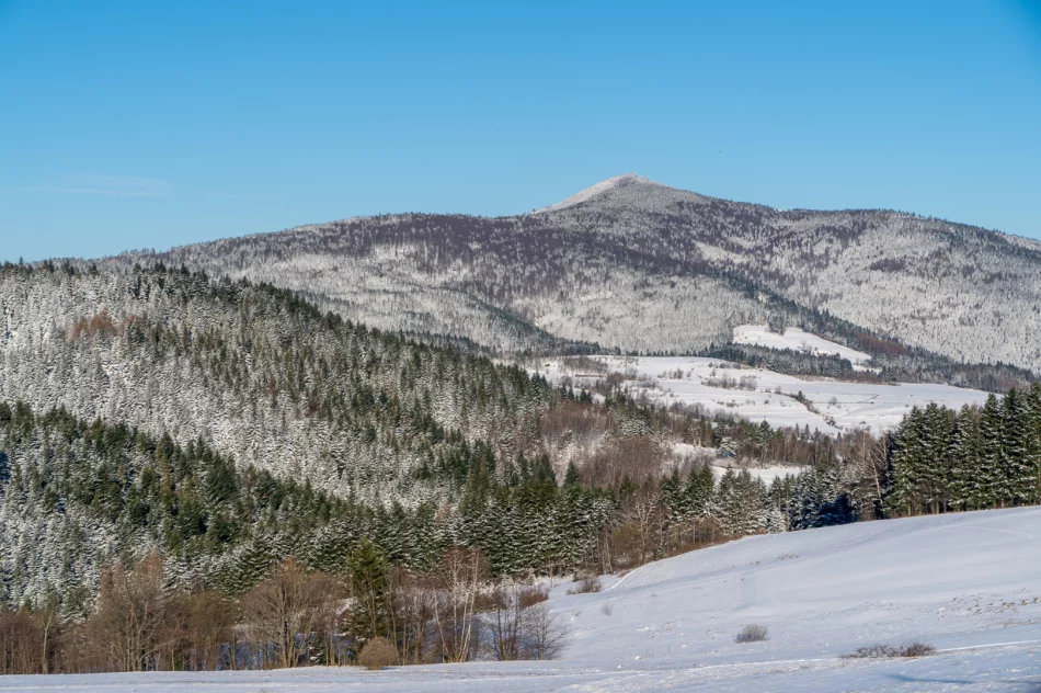 Zima w Beskidzie Wyspowym i Limanowej - 29 marca 2023 roku - zdjęcie 18