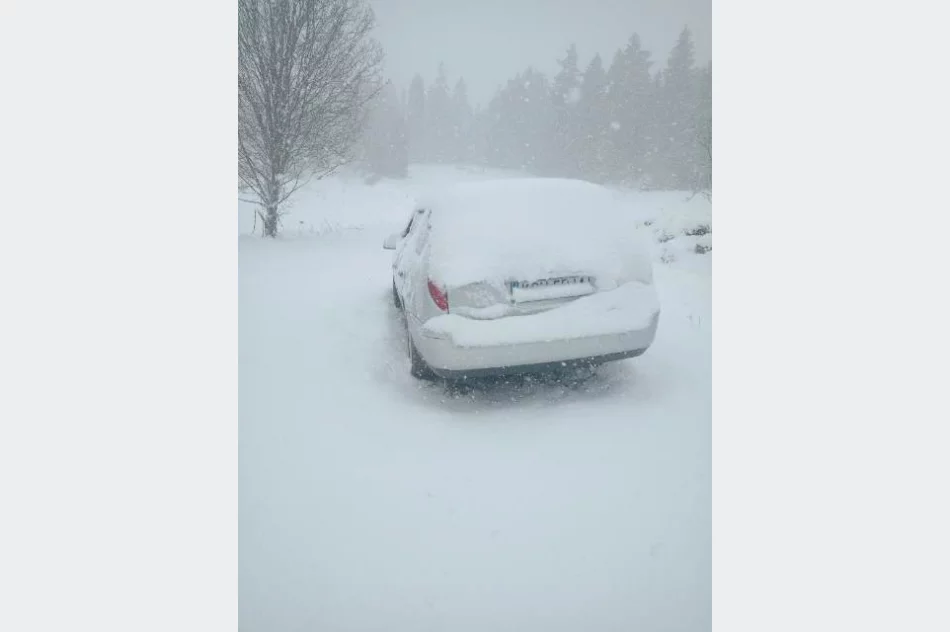 ​Policja zignorowała trop w sprawie poszukiwanego? - zdjęcie 10