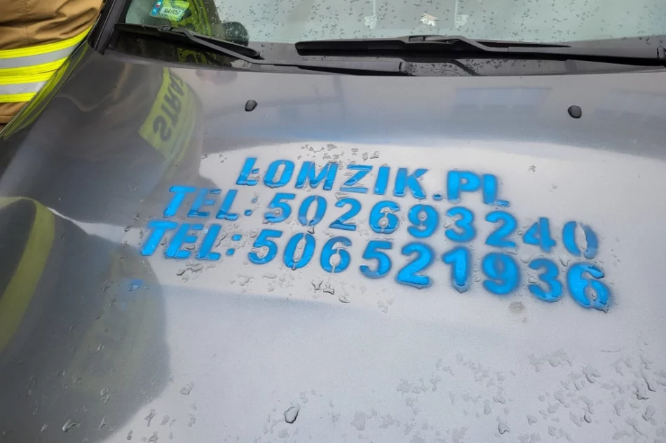 Wspólne ćwiczenia z ratownictwa technicznego  - zdjęcie 10