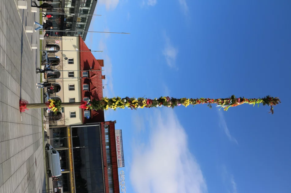 19-metrowa Palma Wielkanocna stanęła na limanowskim rynku - zdjęcie 4