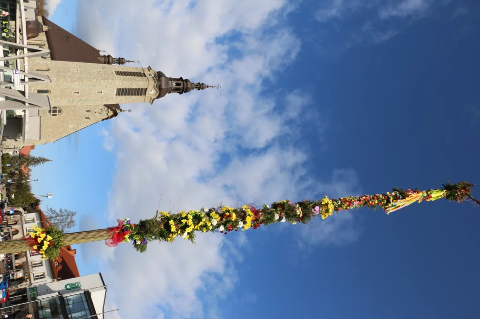 19-metrowa Palma Wielkanocna stanęła na limanowskim rynku - zdjęcie 5