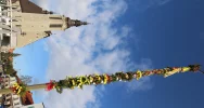 19-metrowa Palma Wielkanocna stanęła na limanowskim rynku - zdjęcie 5