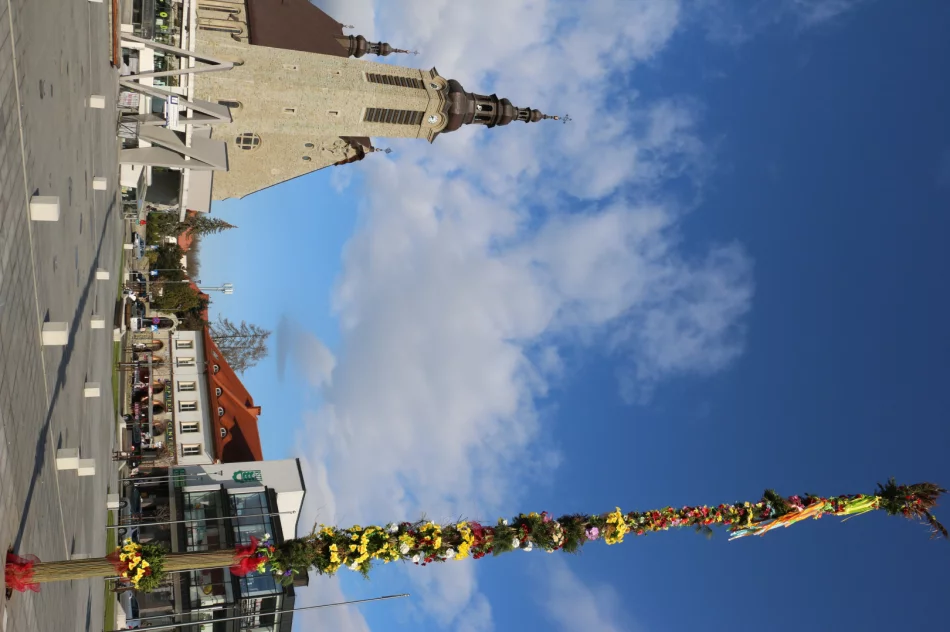 19-metrowa Palma Wielkanocna stanęła na limanowskim rynku - zdjęcie 8