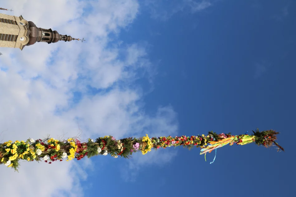 19-metrowa Palma Wielkanocna stanęła na limanowskim rynku - zdjęcie 9