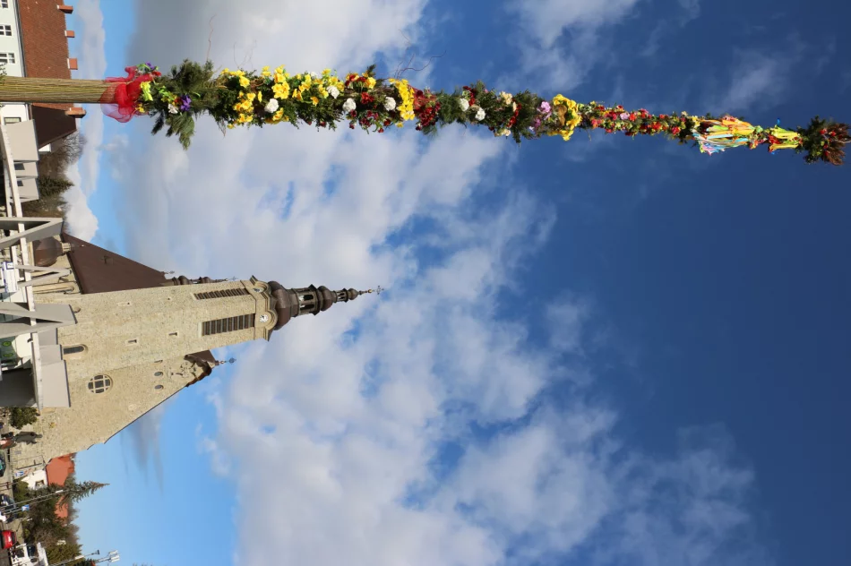 19-metrowa Palma Wielkanocna stanęła na limanowskim rynku - zdjęcie 11