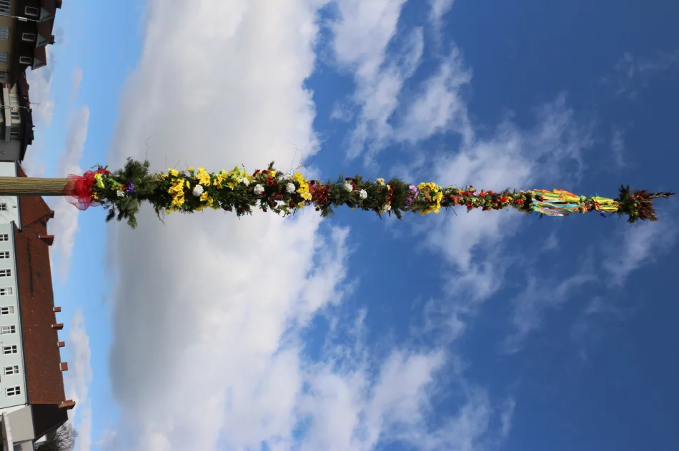 19-metrowa Palma Wielkanocna stanęła na limanowskim rynku - zdjęcie 13