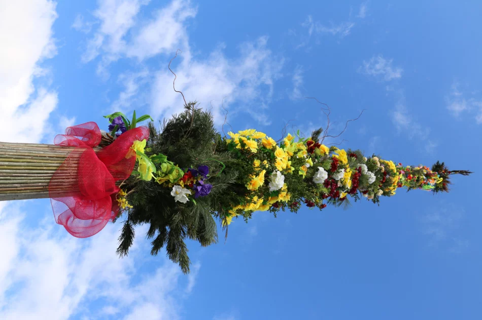 19-metrowa Palma Wielkanocna stanęła na limanowskim rynku - zdjęcie 14