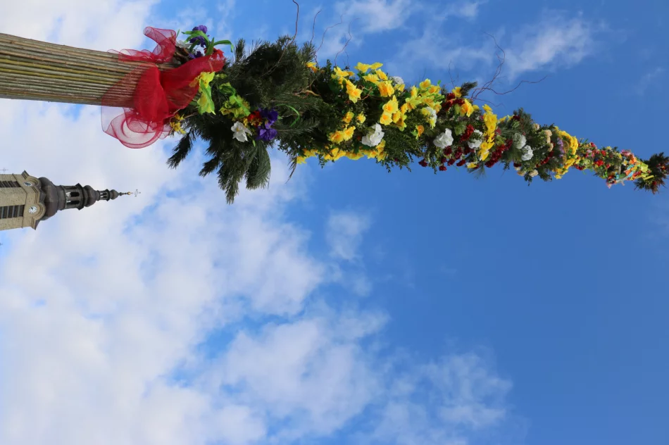 19-metrowa Palma Wielkanocna stanęła na limanowskim rynku - zdjęcie 15