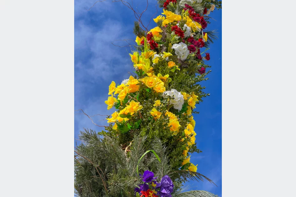 Palma już na Rynku w Limanowej. Od 21 lat tworzy je Pani Władysława Ślazyk - zdjęcie 11