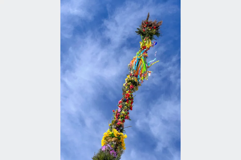 Palma już na Rynku w Limanowej. Od 21 lat tworzy je Pani Władysława Ślazyk - zdjęcie 13