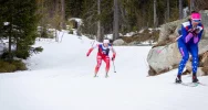 Koniec sezonu narciarskiego Aleksandry Kołodziej - zdjęcie 4