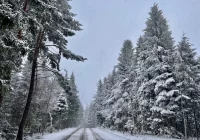 Prognoza pogody na tydzień i Święta - zdjęcie główne