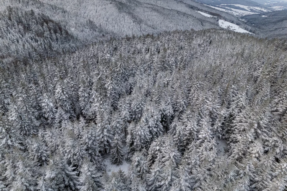 IMiGW: W święta cieplej, ale deszczowo, a w górach śnieżnie - zdjęcie 2