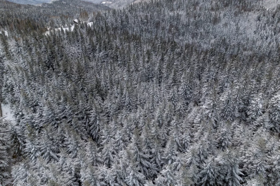 IMiGW: W święta cieplej, ale deszczowo, a w górach śnieżnie - zdjęcie 5