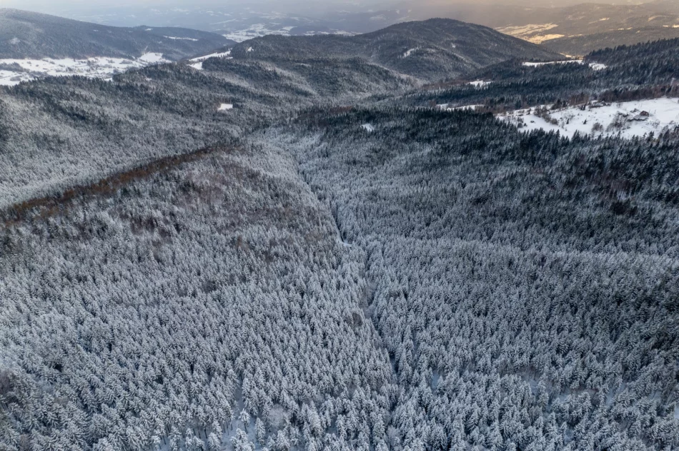 IMiGW: W święta cieplej, ale deszczowo, a w górach śnieżnie - zdjęcie 14