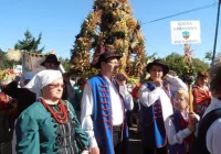 KGW Makowica na XV Dożynkach Woj. Małopolskiego - zdjęcie główne