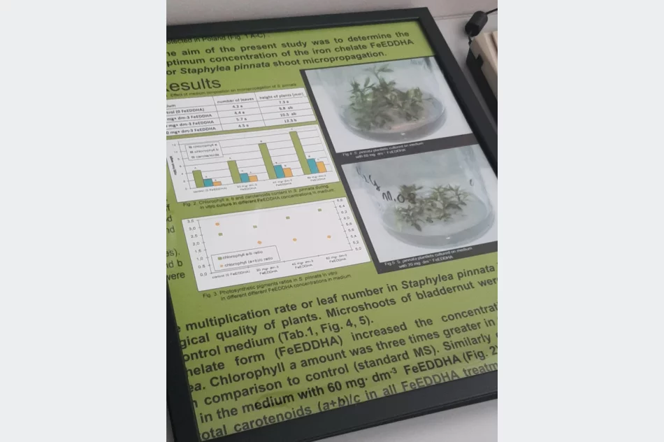 Zajęcia dla uczniów architektury krajobrazu - zdjęcie 6