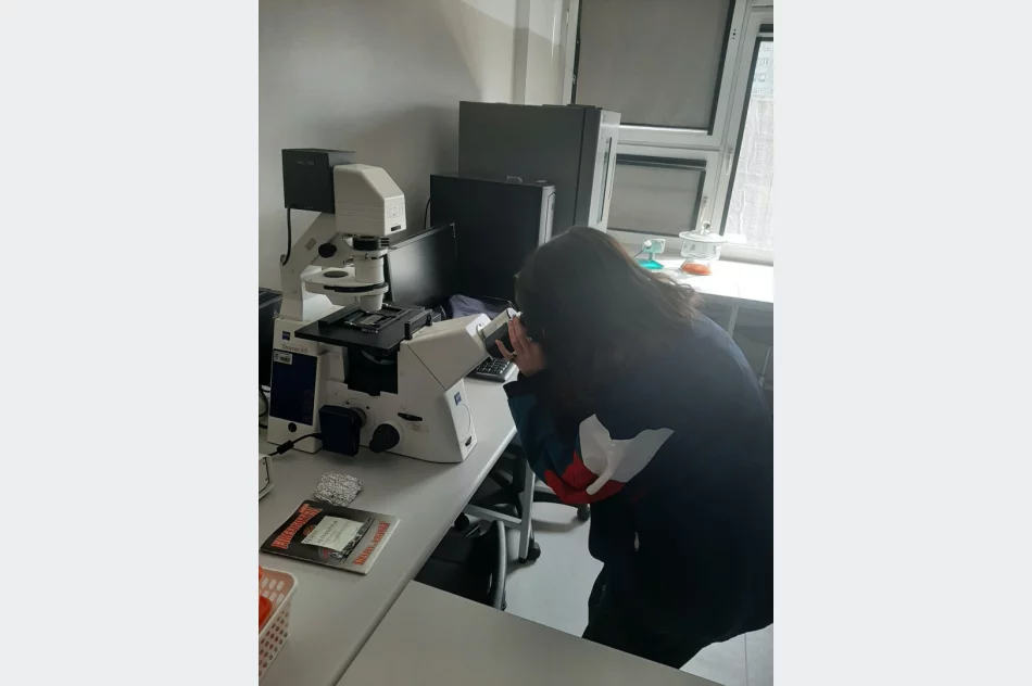 Zajęcia dla uczniów architektury krajobrazu - zdjęcie 7