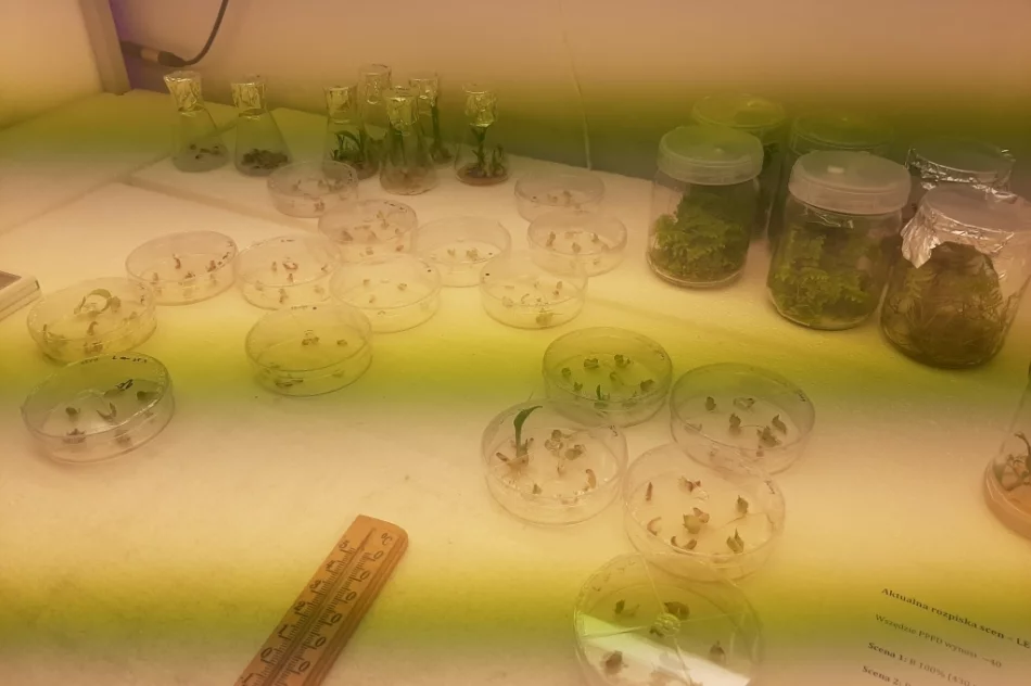 Zajęcia dla uczniów architektury krajobrazu - zdjęcie 10