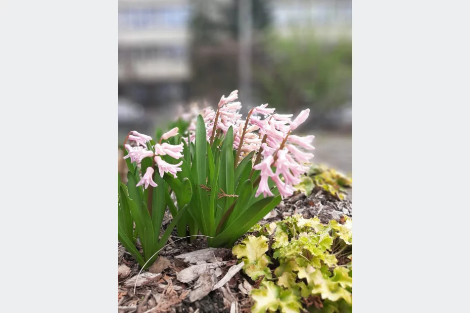 Zajęcia dla uczniów architektury krajobrazu - zdjęcie 18