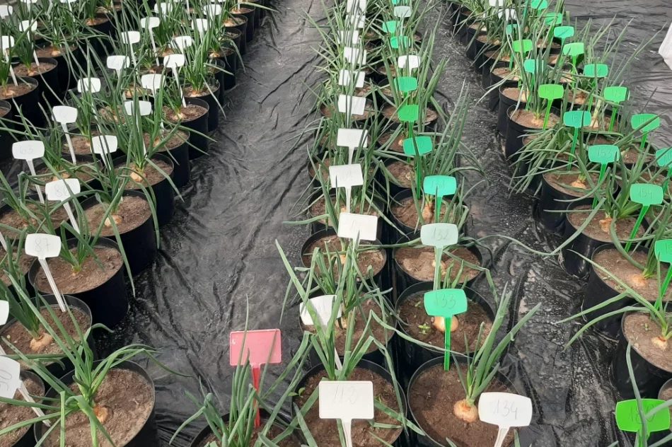 Zajęcia dla uczniów architektury krajobrazu - zdjęcie 20