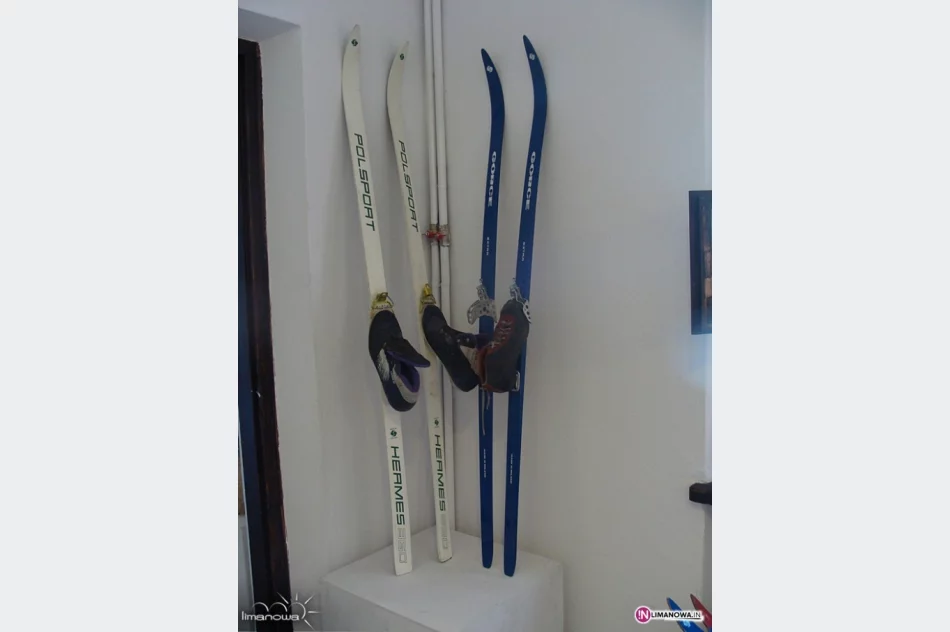 Już dzisiaj otwarcie wystawy - zdjęcie 4