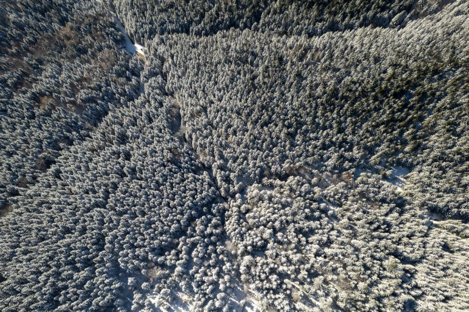 Prognoza pogody na 6 i 7 kwietnia - zdjęcie 4